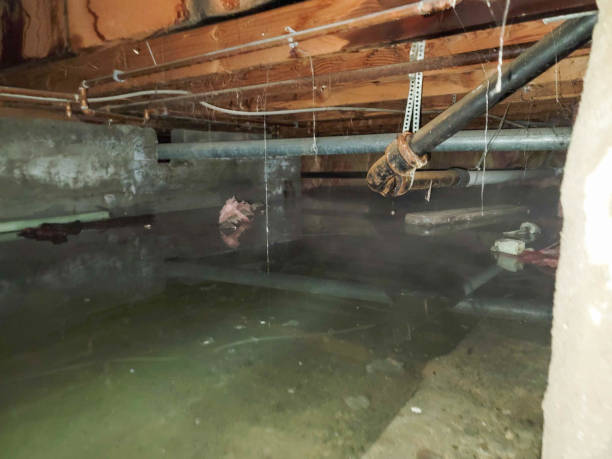 Fire Damage Restoration in VA