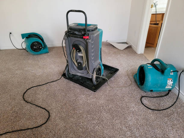 Best Water damage contractors near me  in Fredericksburg, VA