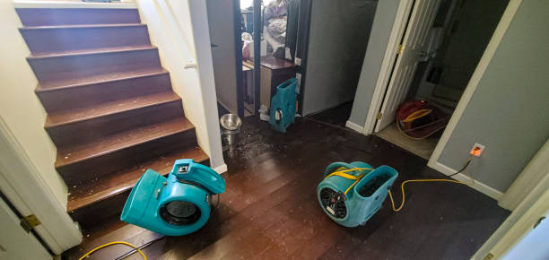 Best Basement water damage restoration  in Fredericksburg, VA