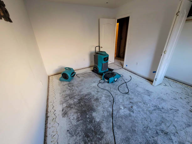 Best Sewage cleanup and water damage restoration  in Fredericksburg, VA