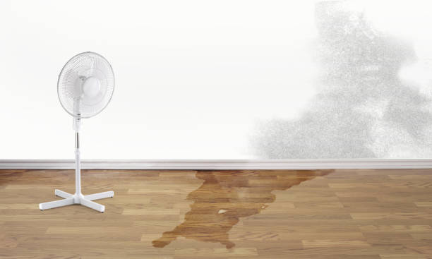 Best Flood restoration services  in Fredericksburg, VA