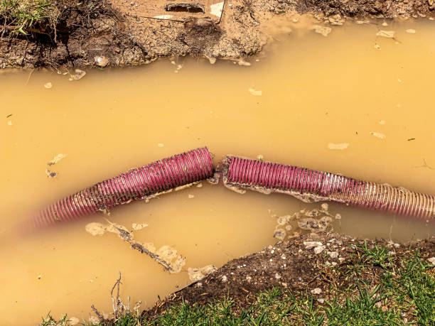 Best Local water damage restoration  in Fredericksburg, VA